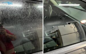 Jamur Kaca Mobil
